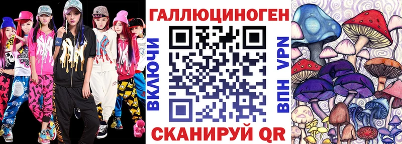 как найти закладки Берёзовка Псилоцибиновые грибы ЛСД